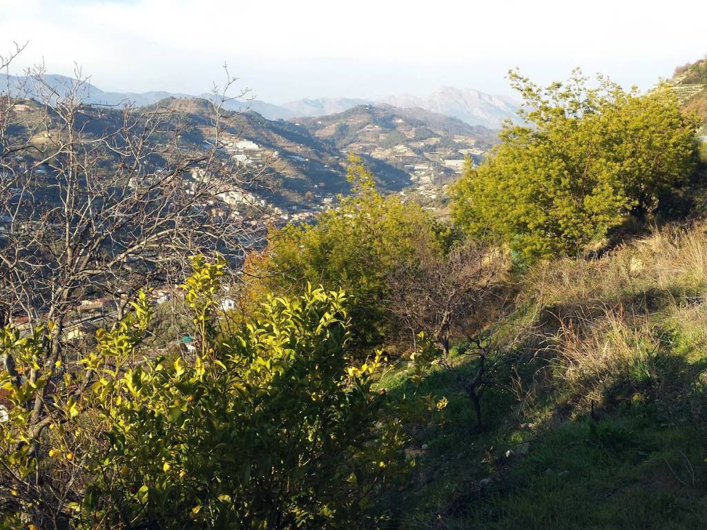 Terreno a Vallecrosia in Località Guraba - Foto 2