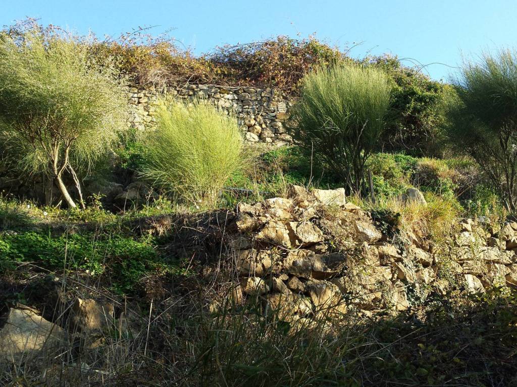 Terreno a Vallecrosia in Località Guraba - Foto 4