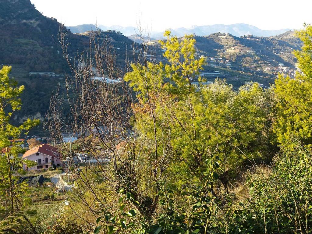 Terreno a Vallecrosia in Località Guraba - Foto 5