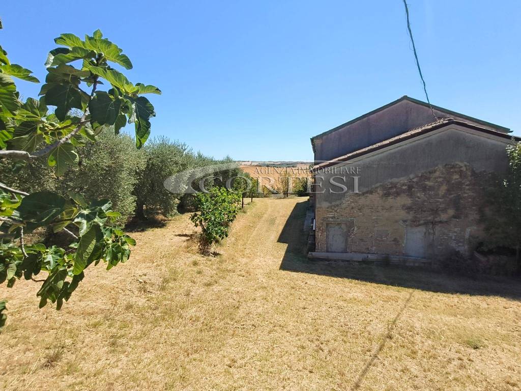 Rustico / casale a San costanzo - Foto 4