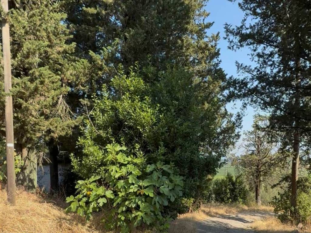 Rustico / casale a Bucine in Località Casa al Piano - Foto 4