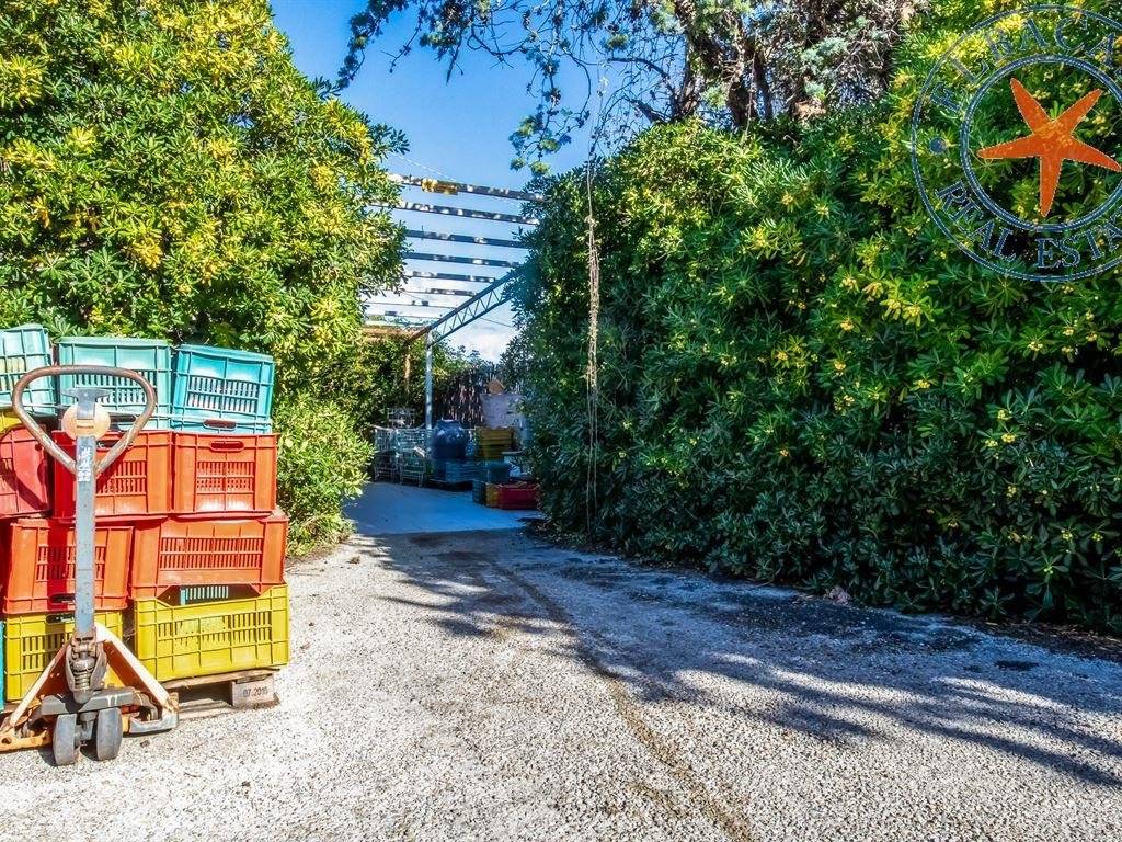 Casa indipendente a Marciana marina - Foto 3
