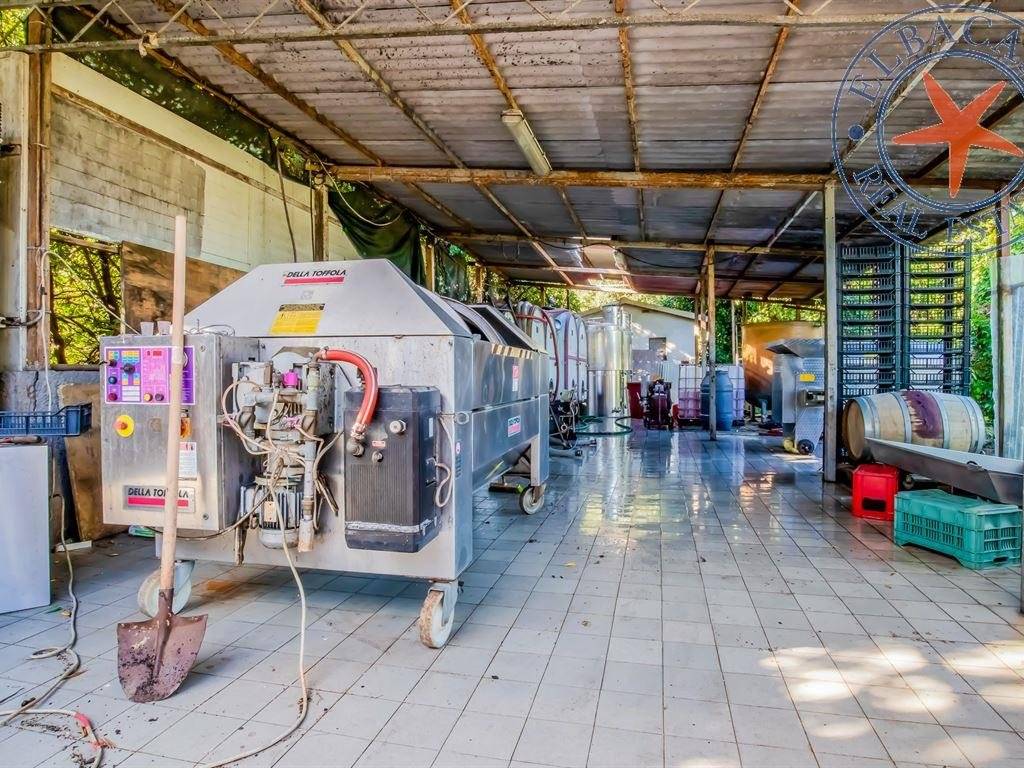 Casa indipendente a Marciana marina - Foto 4