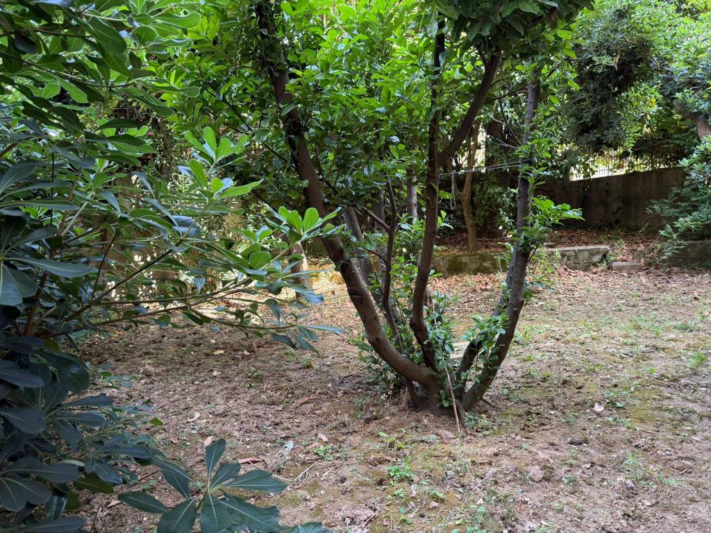 Appartamento a Pellezzano in Via Vittorio Emanuele III, 18 - Foto 3