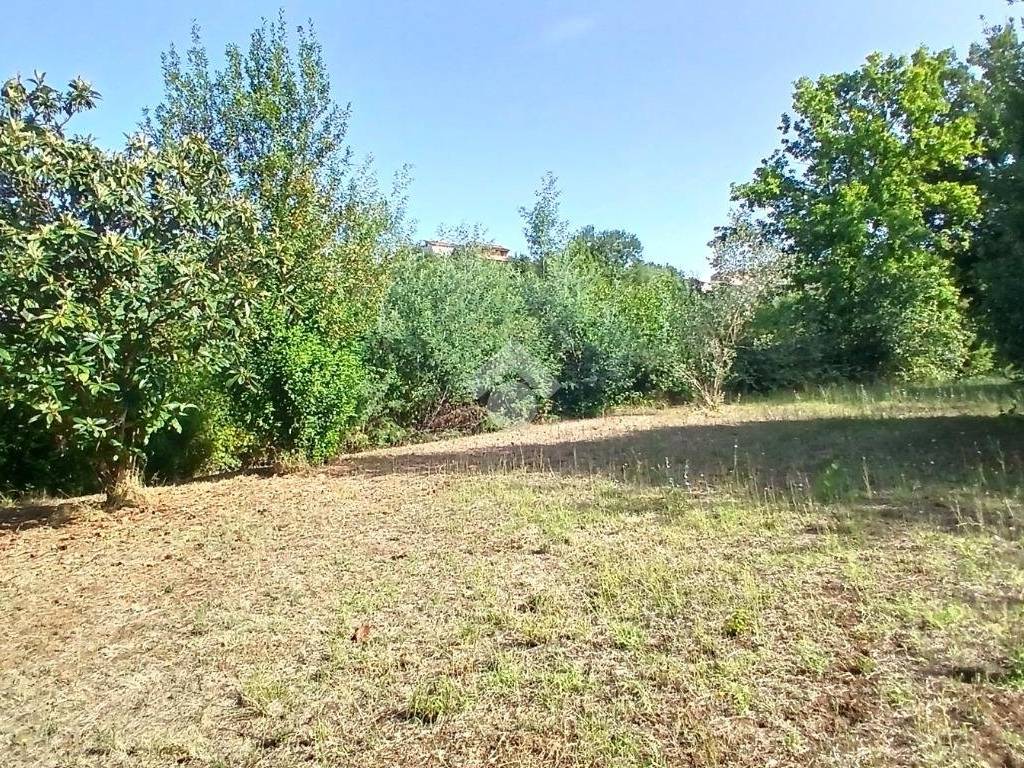 Rustico / casale a Paliano in Contrada Mercari - Foto 5