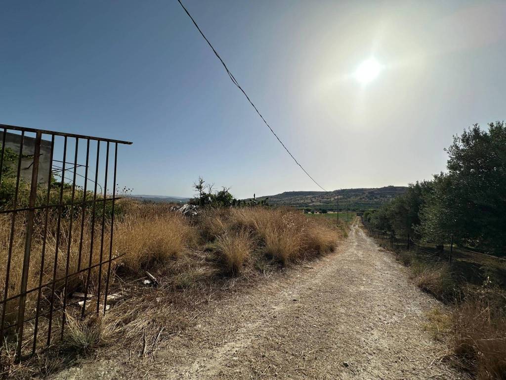 Terreno a Noto in Strada Provinciale Codalupo - Foto 3