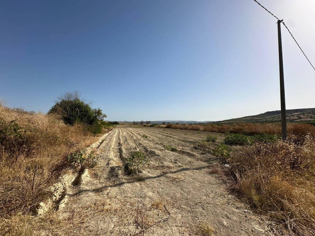 Terreno a Noto in Strada Provinciale Codalupo - Foto 4