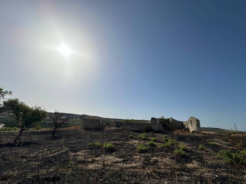 Terreno a Noto in Strada Provinciale Codalupo - Foto 5