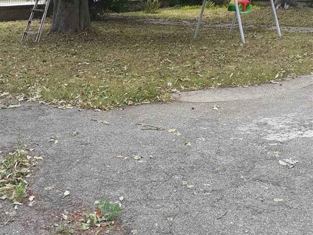 Casa indipendente a Poggio rusco - Foto 2
