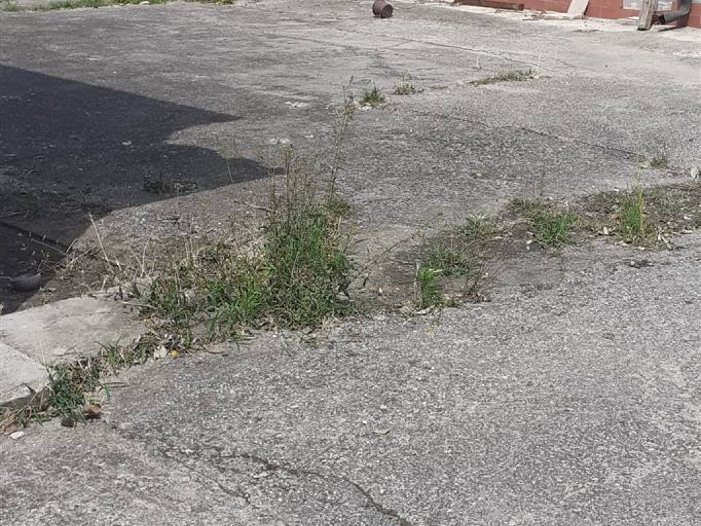 Casa indipendente a Poggio rusco - Foto 3