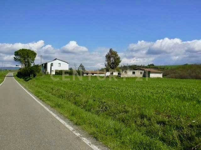 Rustico / casale a Cinigiano in località pian taverna - Foto 2