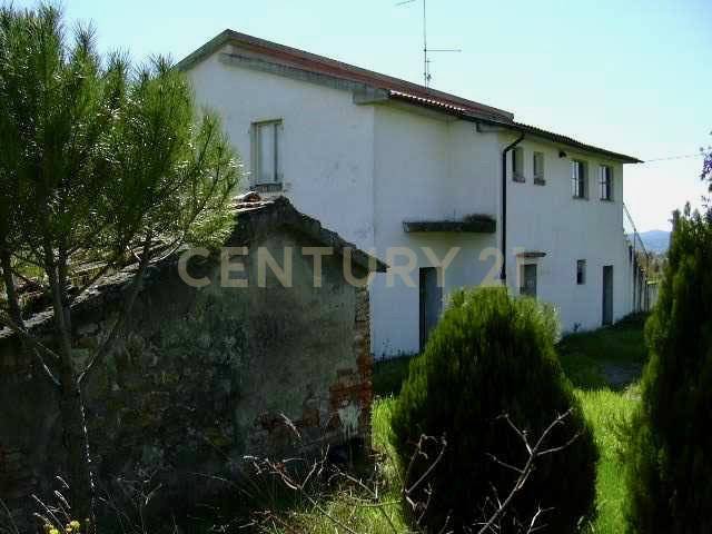 Rustico / casale a Cinigiano in località pian taverna - Foto 4