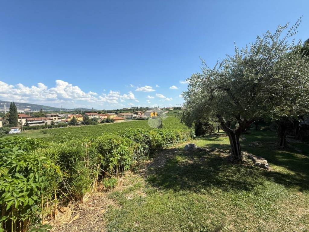 Terreno a Affi in Via Pila, 67 - Foto 5