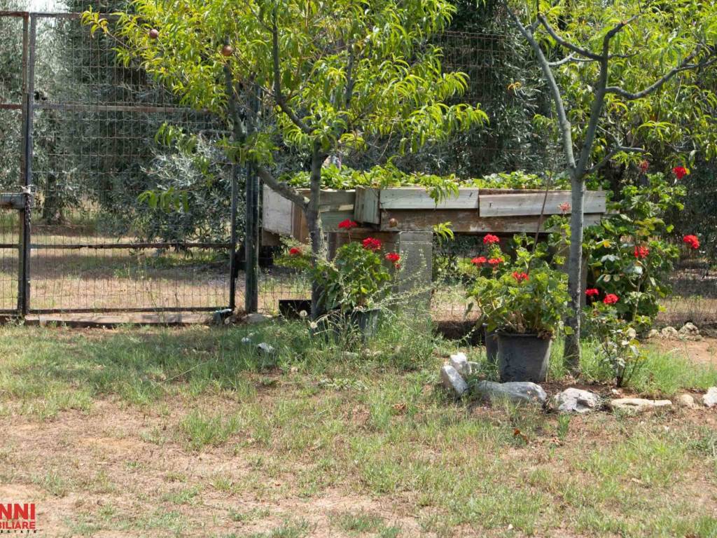 Terreno a Cecina in Via del Paratino - Foto 2