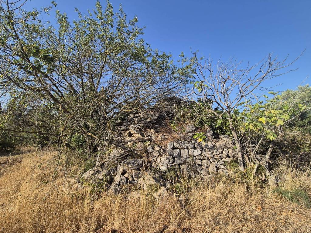 Rustico / casale a Alberobello in Contrada Monte del Sale - Foto 2