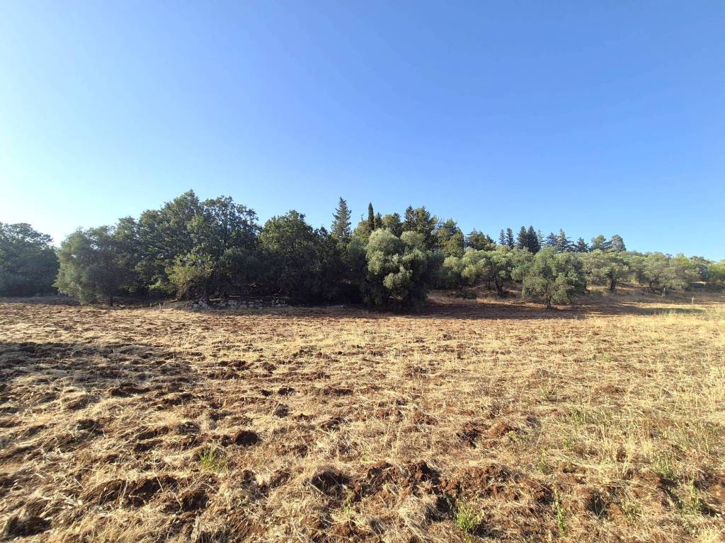 Rustico / casale a Alberobello in Contrada Monte del Sale - Foto 3