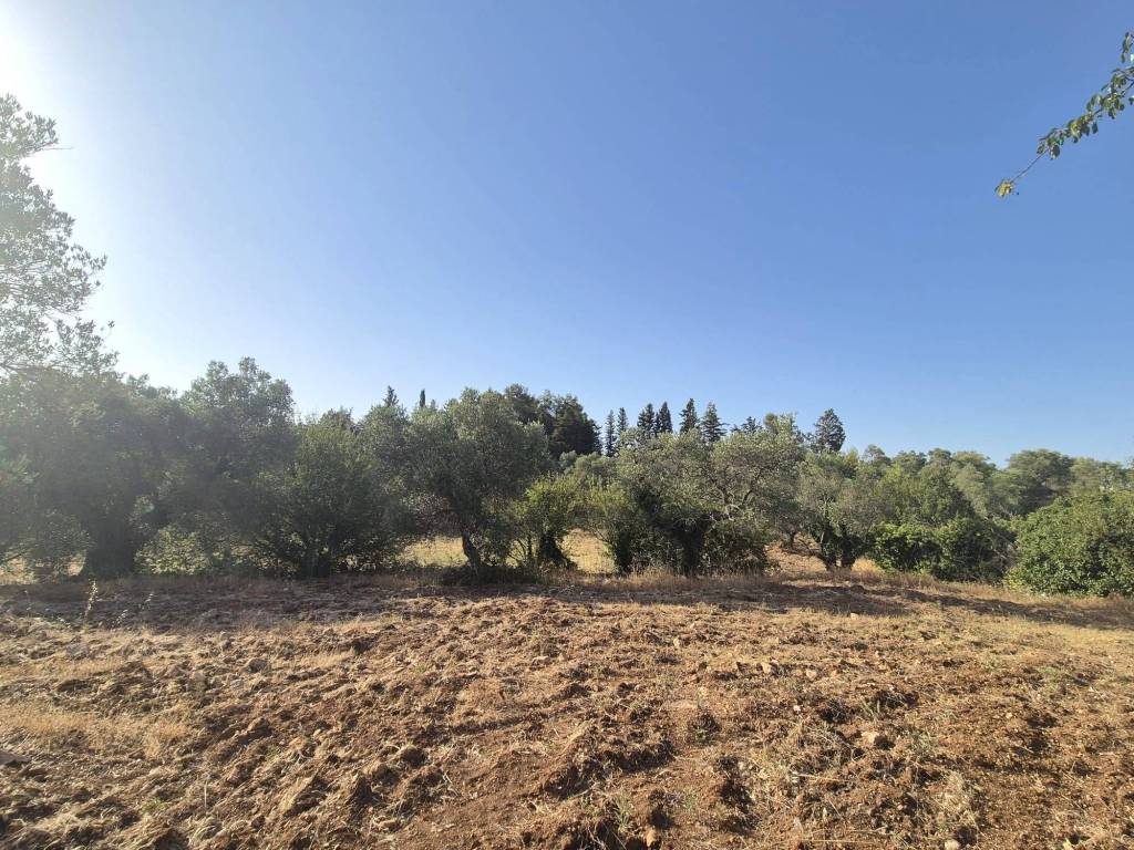 Rustico / casale a Alberobello in Contrada Monte del Sale - Foto 4
