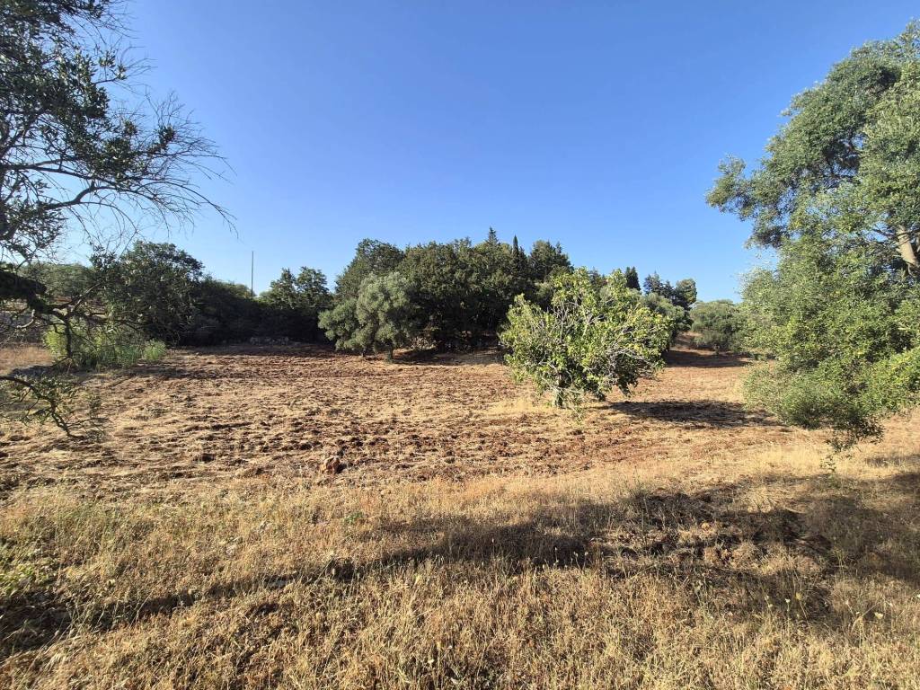Rustico / casale a Alberobello in Contrada Monte del Sale - Foto 5