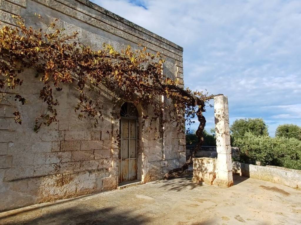 Rustico / casale a Fasano in Strada Statale di Egnazia - Foto 5