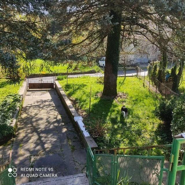 Casa indipendente a Minucciano - Foto 2