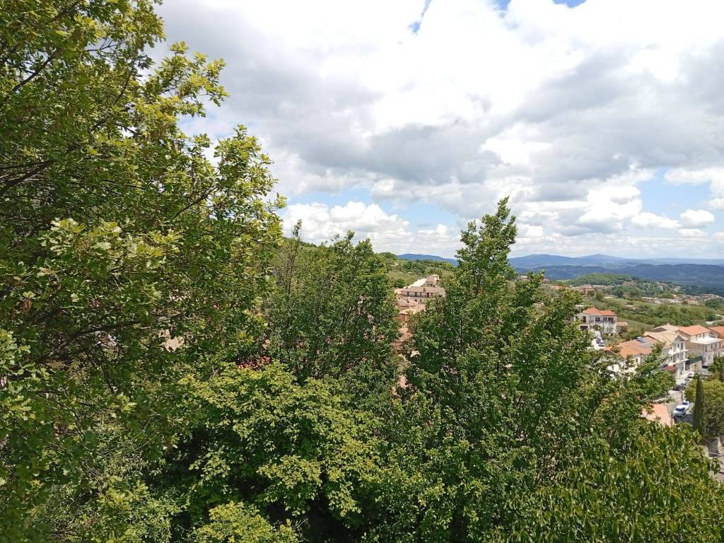 Villa a Santa maria del molise in Via Malatesta Baglioni - Foto 3