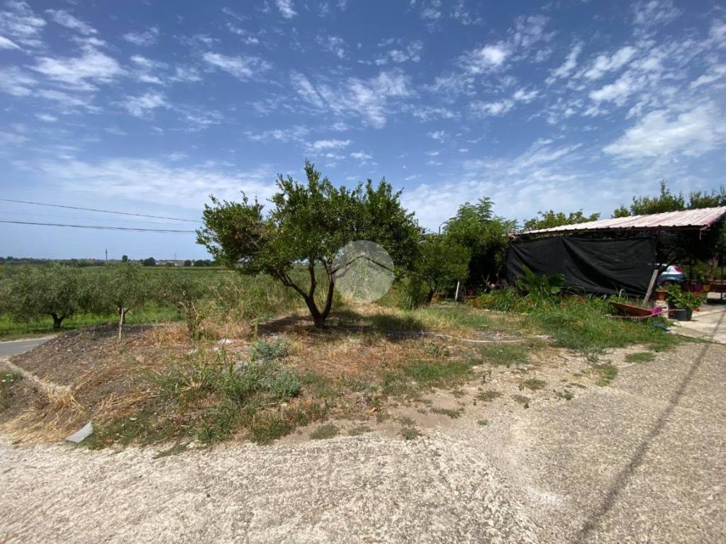 Casa indipendente a Capaccio paestum in Via Gaiarda, 39 - Foto 4