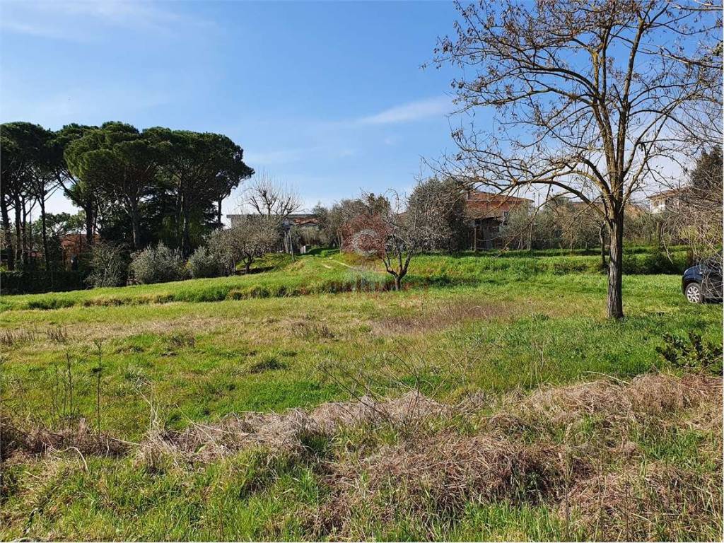 Terreno a Buggiano - Foto 4