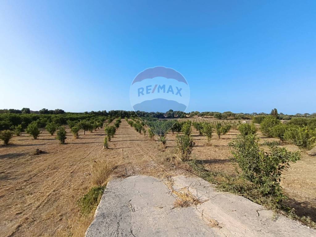 Terreno a Noto in Contrada Roveto - Foto 2