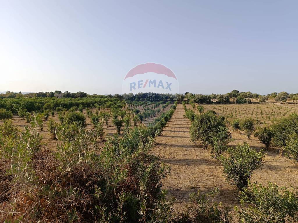 Terreno a Noto in Contrada Roveto - Foto 3
