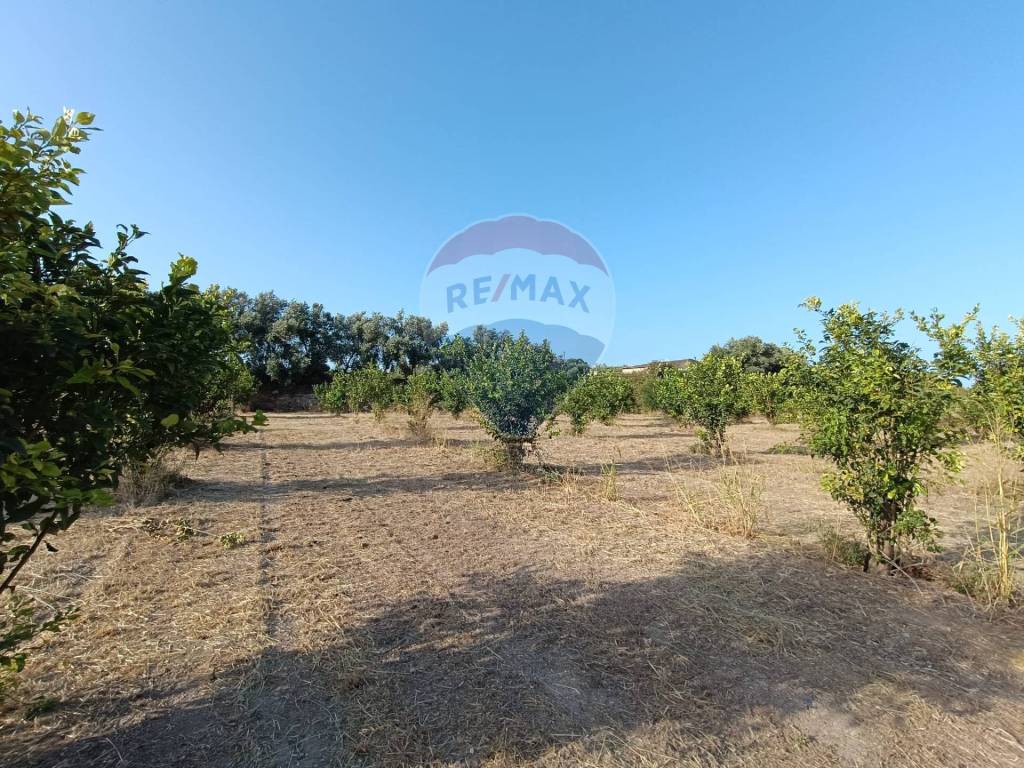 Terreno a Noto in Contrada Roveto - Foto 4