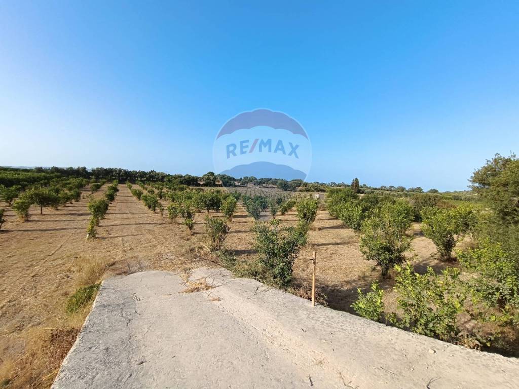 Terreno a Noto in Contrada Roveto - Foto 5