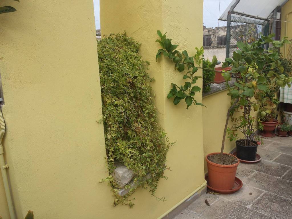 Appartamento a Bisceglie in Strada Pastore - Foto 4