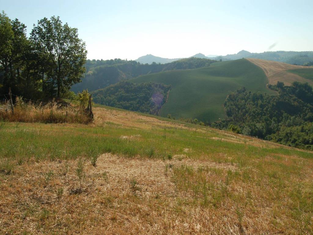 Terreno a Savignano sul panaro in Via Trentino Alto Adige - Foto 5