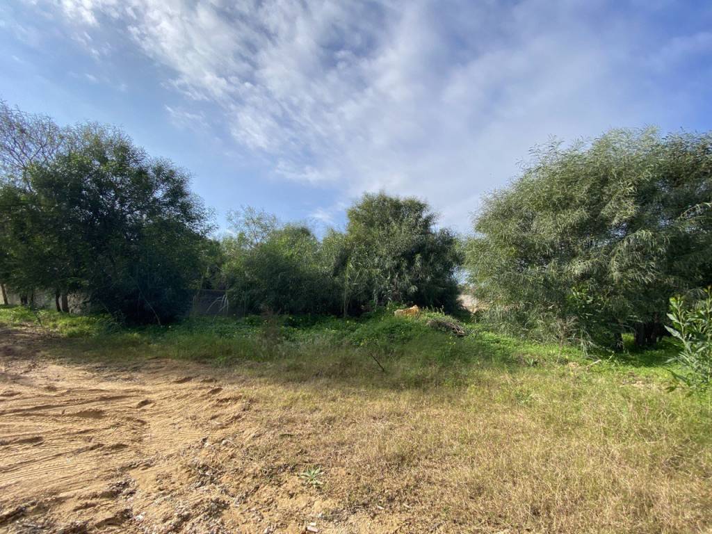 Terreno a Castelvetrano - Foto 2