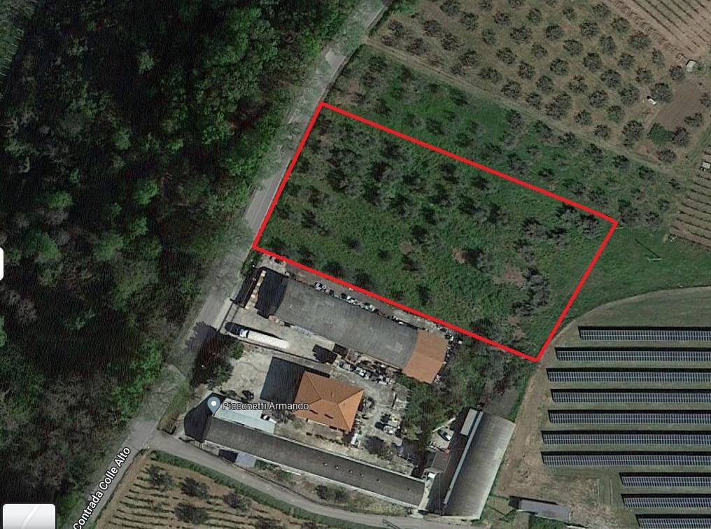 Terreno a Frisa in Strada Provinciale Sant'Apollinare-Guastameroli - Foto 2