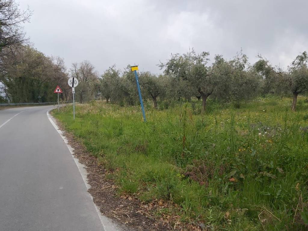 Terreno a Frisa in Strada Provinciale Sant'Apollinare-Guastameroli - Foto 3