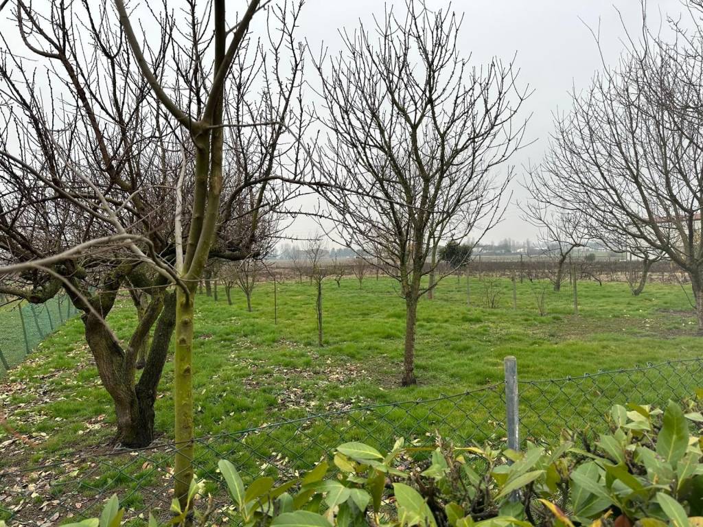 Villa a Dolo in Via del Vaso - Foto 4