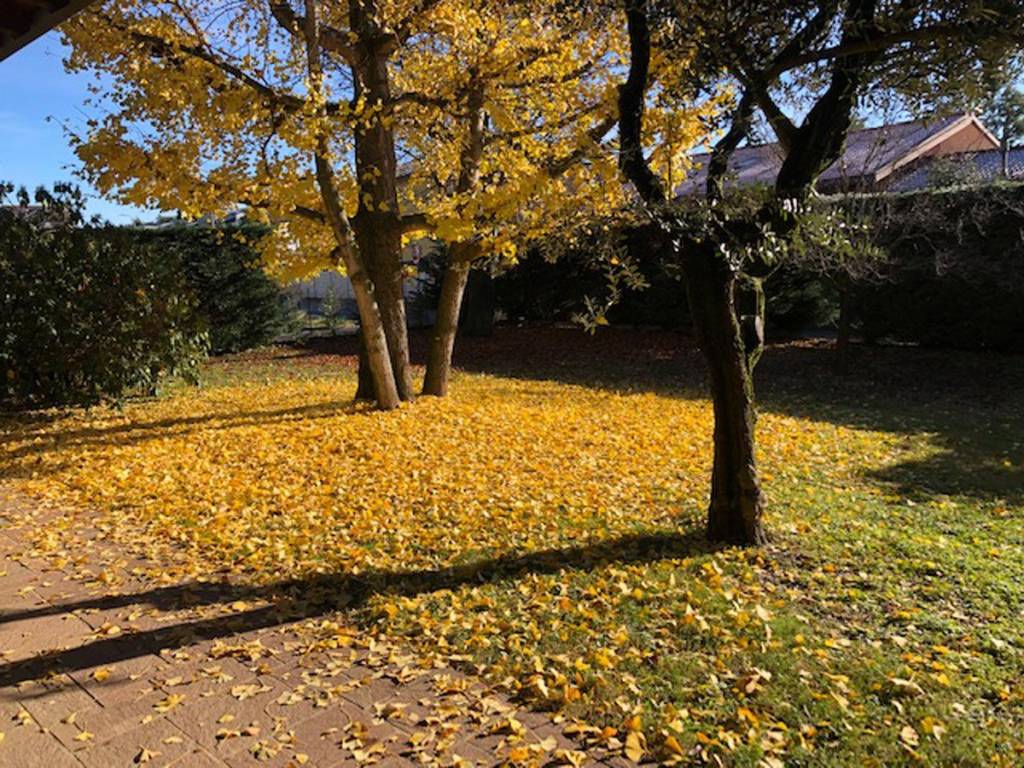 Villa a Vedano olona in Via Leonardo da Vinci - Foto 2