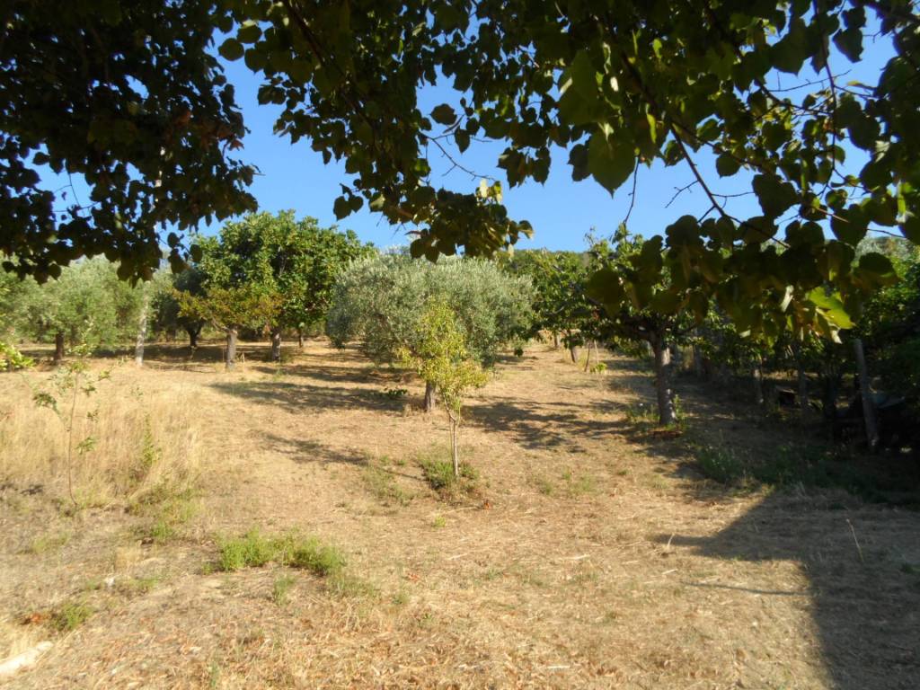 Terreno a Colonnella in Contrada San Giovanni - Foto 2