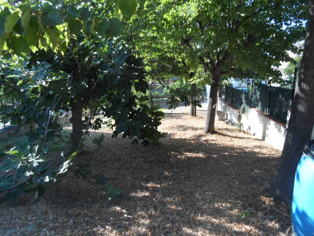 Terreno a Colonnella in Contrada San Giovanni - Foto 3