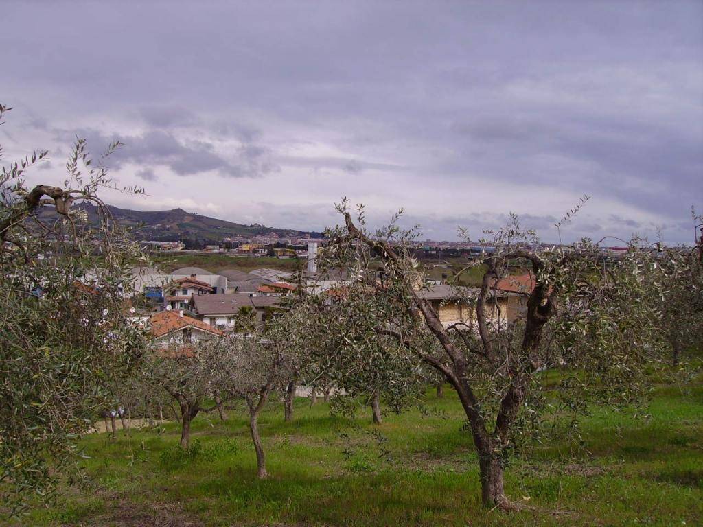 Terreno a Colonnella in Contrada San Giovanni - Foto 4