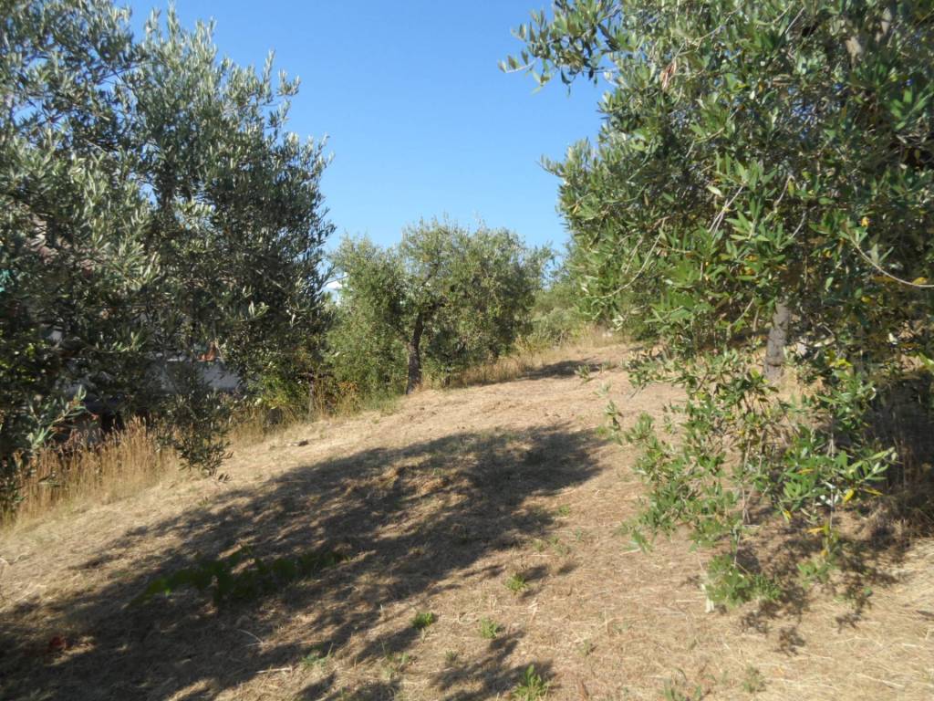 Terreno a Colonnella in Contrada San Giovanni - Foto 5