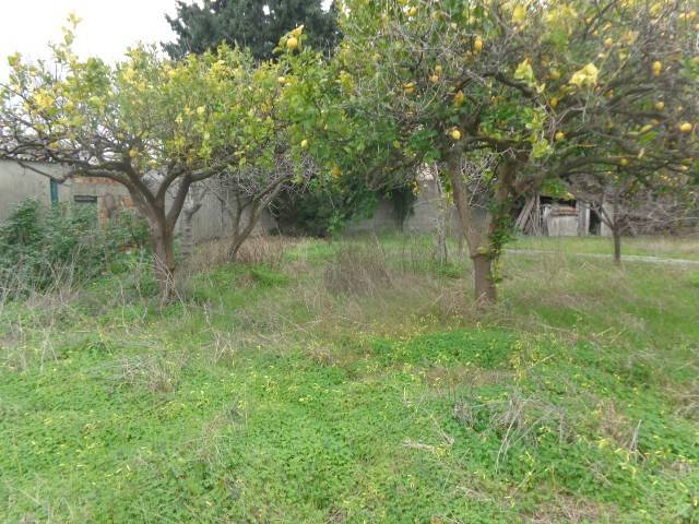 Rustico / casale a Roccella ionica in Contrada Lacchi - Foto 4