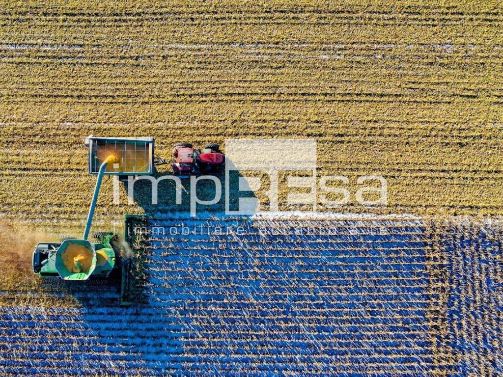 Terreno a Jesolo in via roma sinistra - Foto 4
