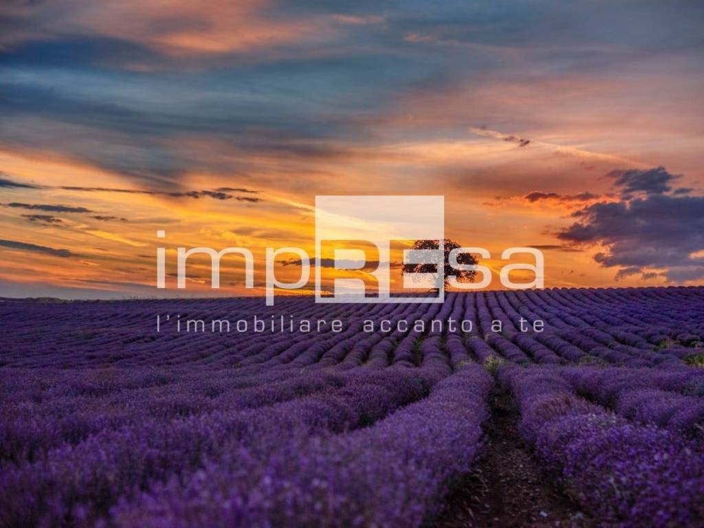 Terreno a Jesolo in via roma sinistra - Foto 5