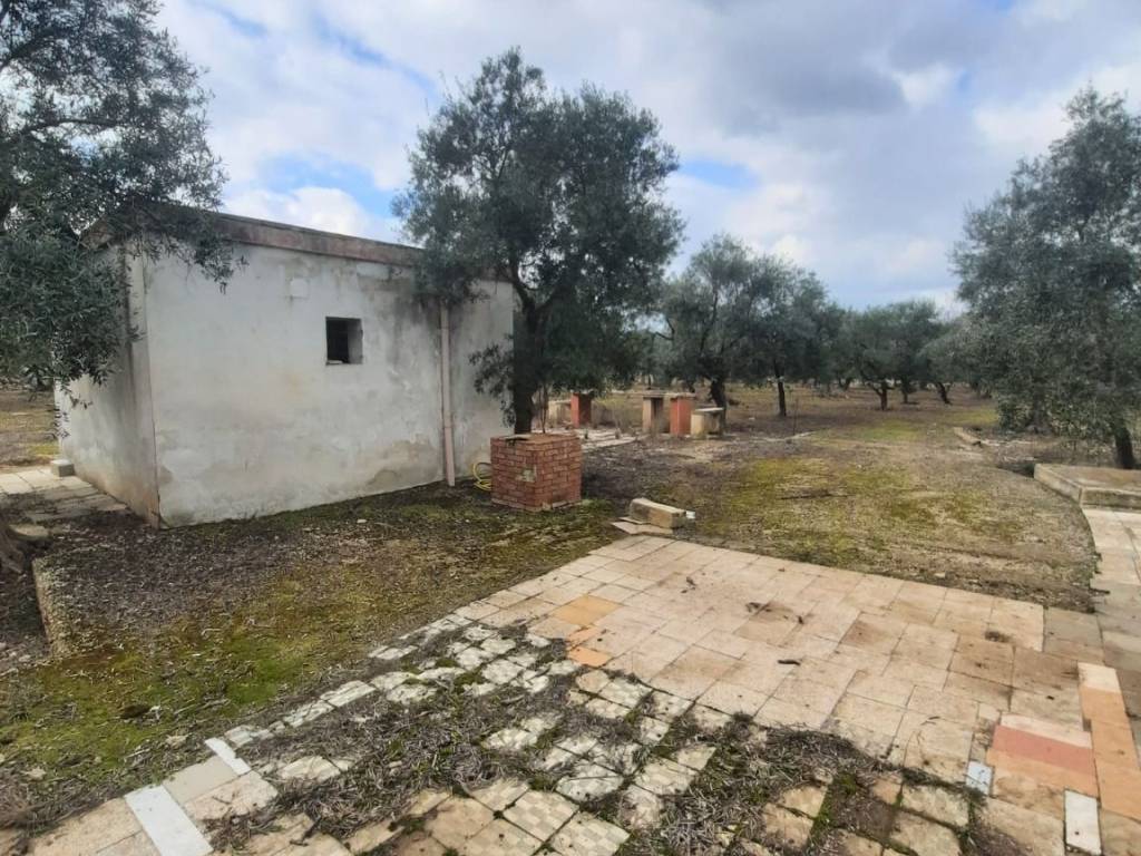 Terreno a Ruvo di puglia in Contrada San Pietro, 49 - Foto 2