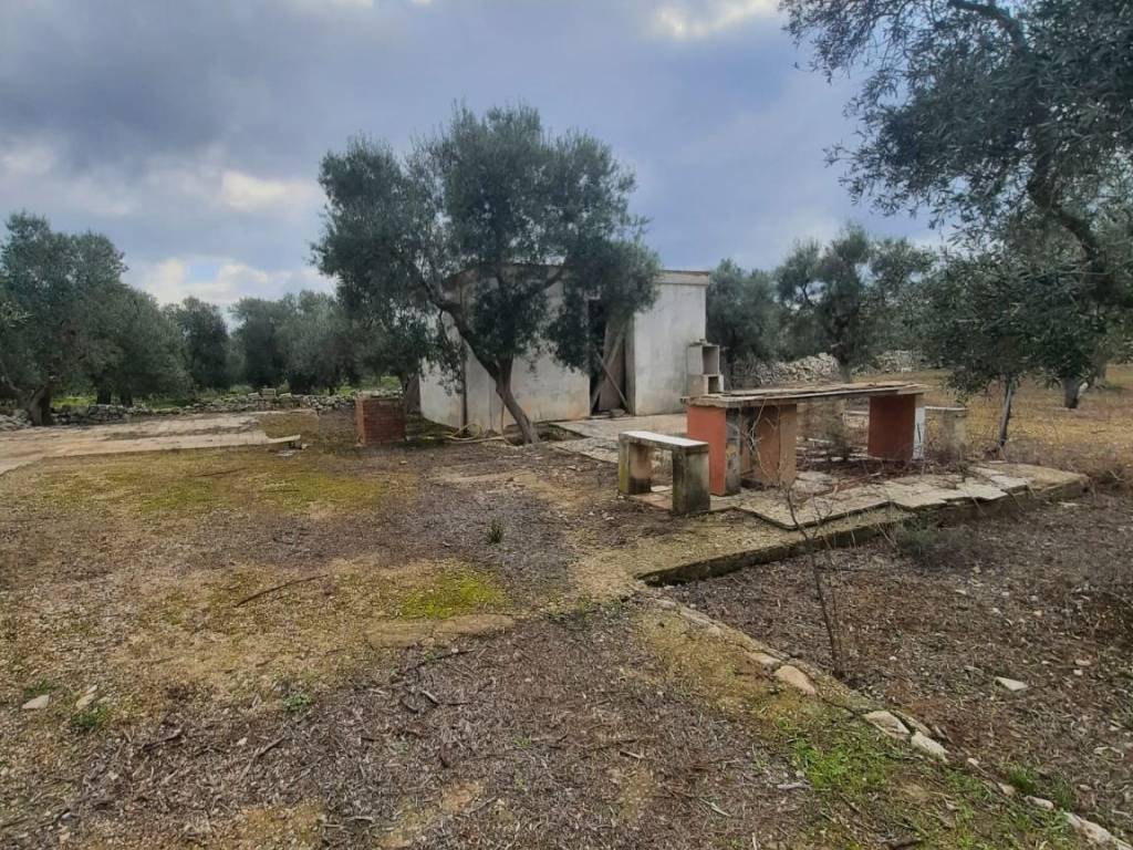 Terreno a Ruvo di puglia in Contrada San Pietro, 49 - Foto 3