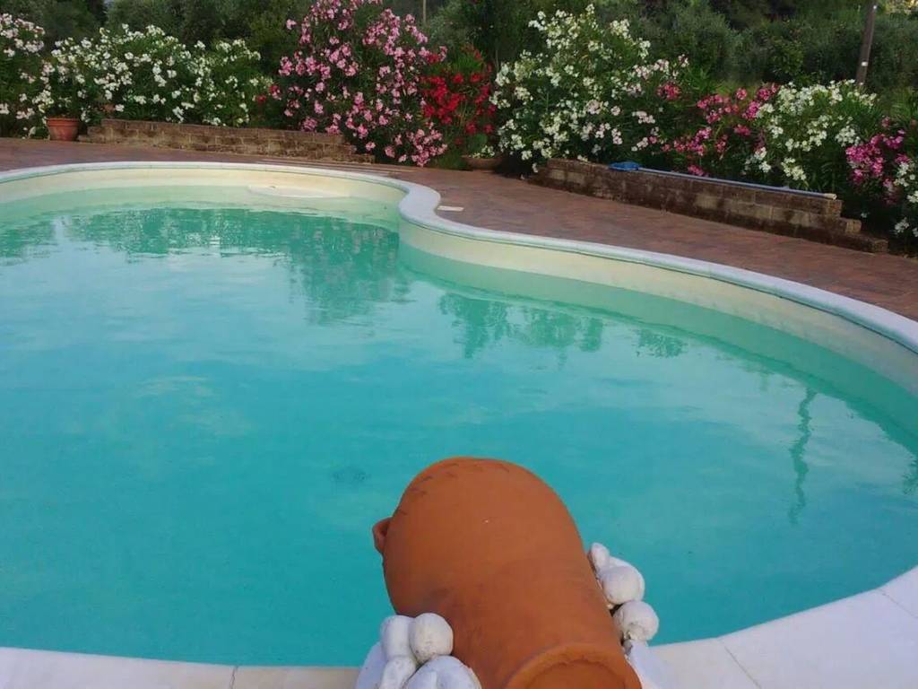 Rustico / casale a Scarlino - Foto 3