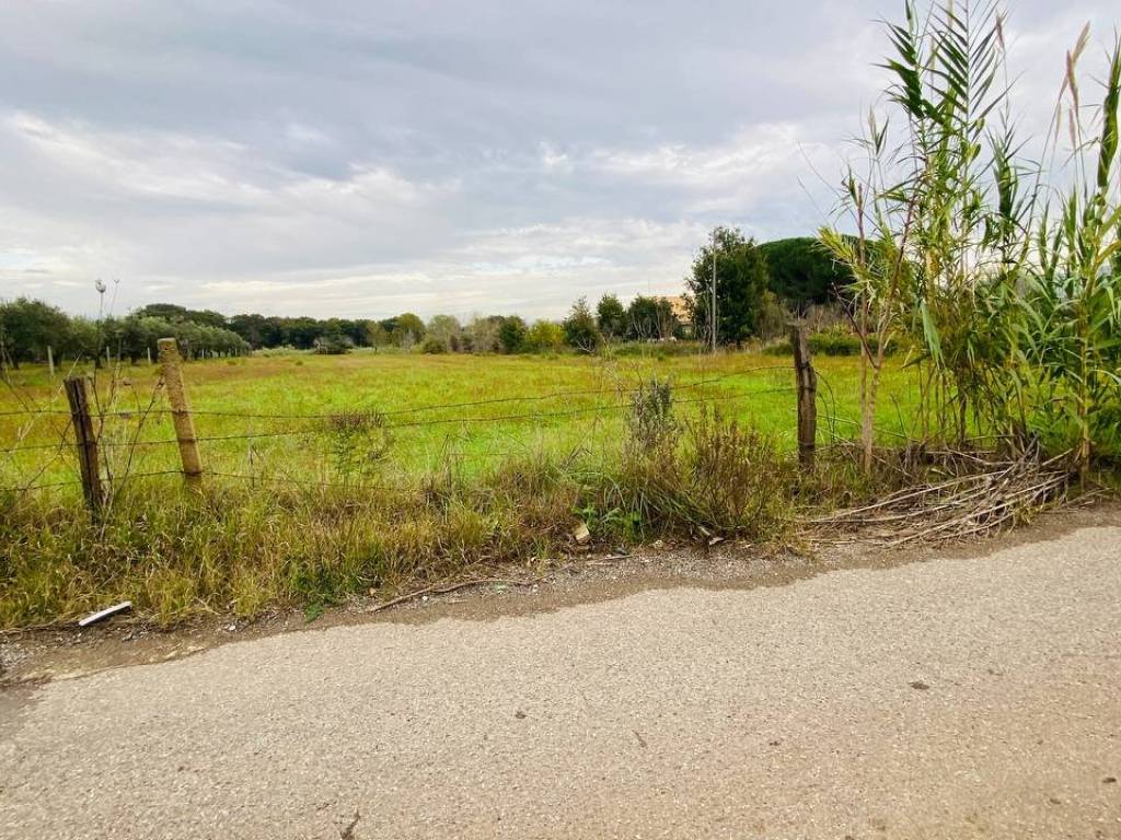Terreno a Lamezia terme in Contrada Viscardi - Foto 2