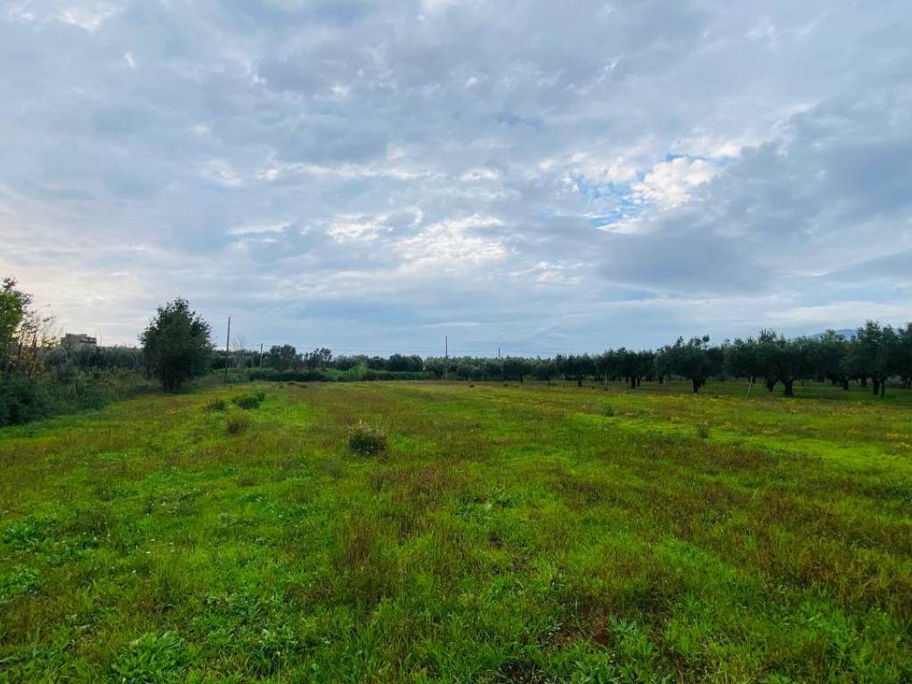 Terreno a Lamezia terme in Contrada Viscardi - Foto 5